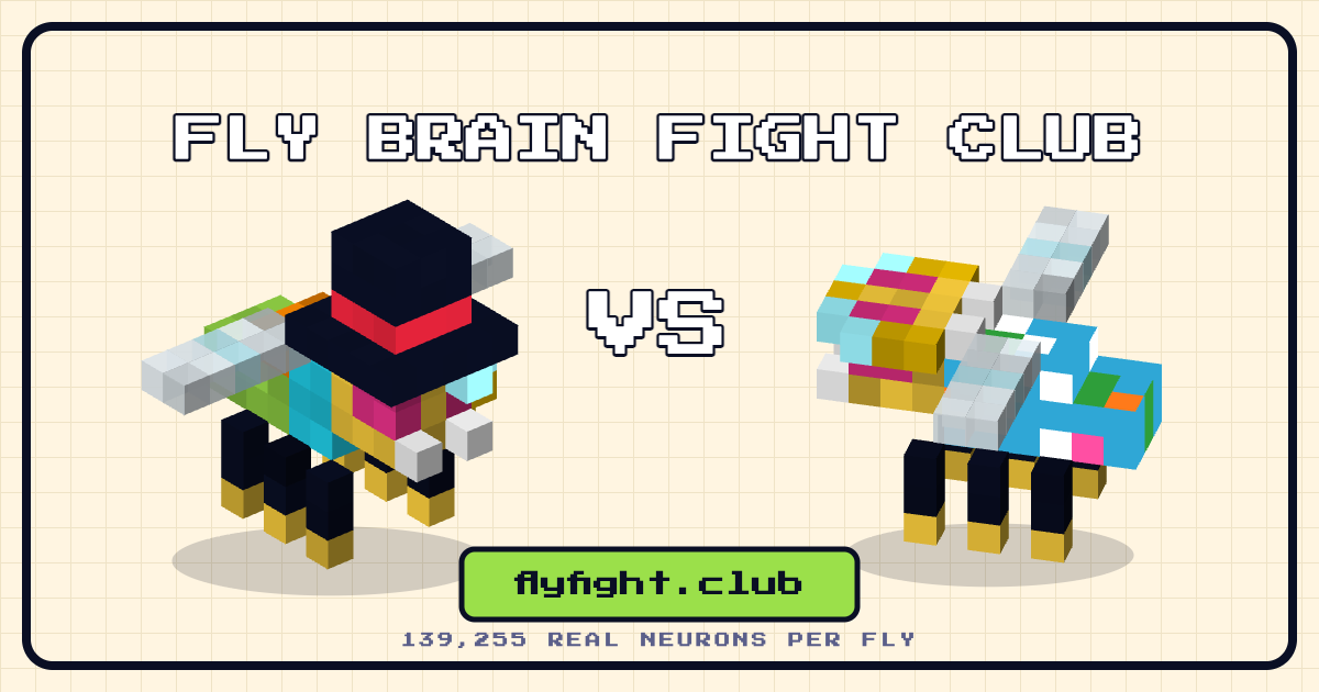 Fly Brain Fight Club